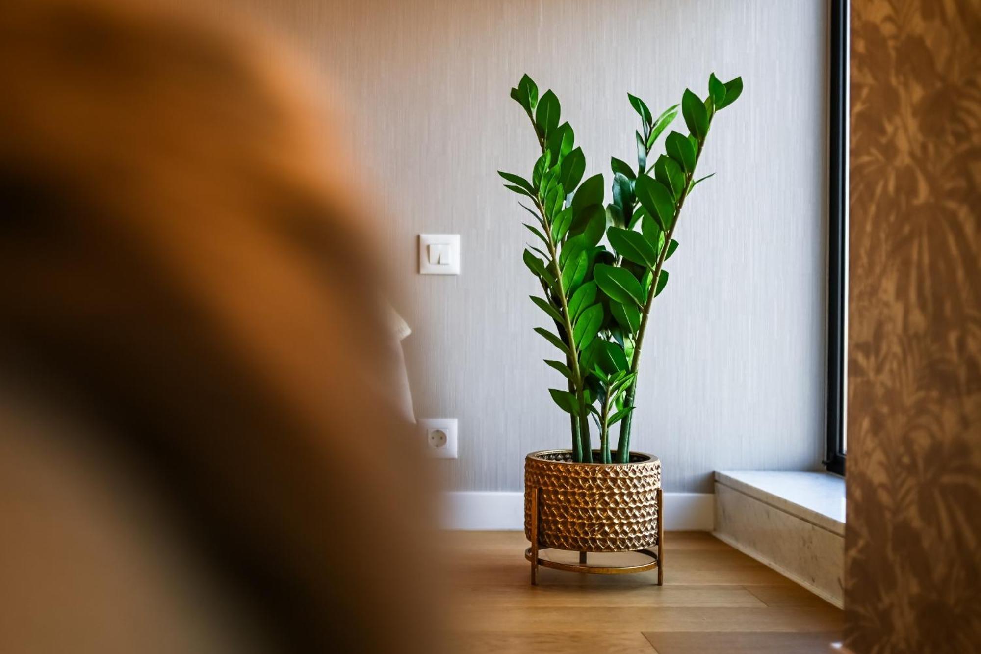 One Verdi Park Exclusive Apartments - Panoramic View & Private Parking Boekarest Kamer foto